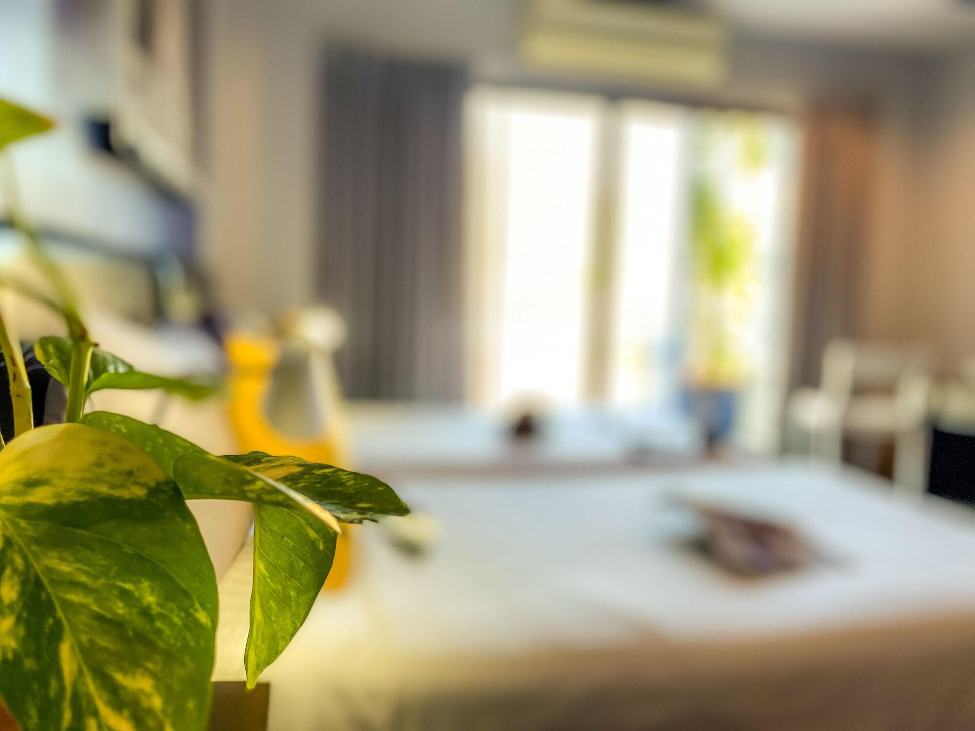 Sino Inn Phuket Hotel - Sha Plus Exteriör bild